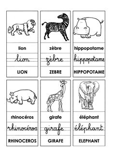 four different types of animals are shown in this printable worksheet for children