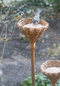 two birds are perched on the top of some bird feeders in a garden area