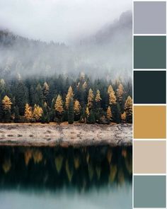 a lake surrounded by trees and fog in the background with color swatches on it