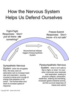 Flip Chart, The Nervous System, Group Therapy, Therapy Tools, Anatomy And Physiology