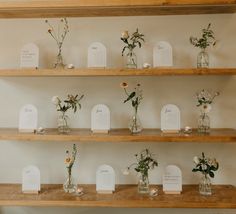 flowers are placed in vases on wooden shelves