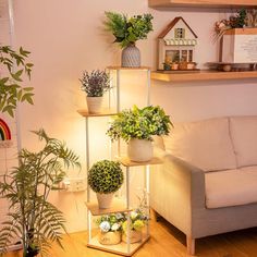 a living room filled with furniture and lots of potted plants on top of shelves