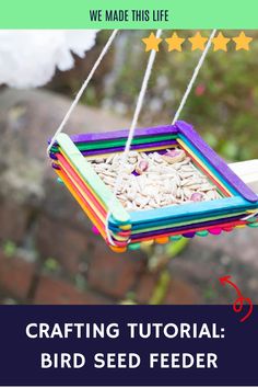 Colorful homemade bird seed feeder hanging outdoors. Stick Bird Feeder, Homemade Bird Feeder, Make A Bird, Bird Feeder Craft, Bird Seed Feeders, Diy Bird Feeder, Summer Camps For Kids, Fun Crafts To Do, Diy Birds