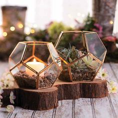 two glass vases with succulent plants in them on a wooden stand next to candles