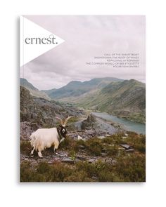 a goat standing on top of a lush green hillside next to a lake and mountains