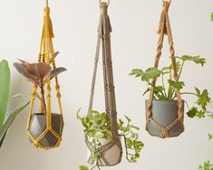 three hanging planters with plants in them