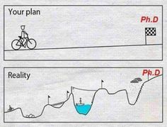 two diagrams showing the different stages of cycling