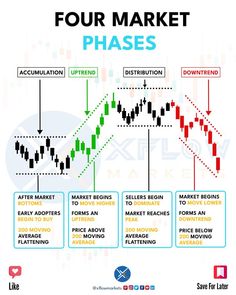 the four market phases in forex