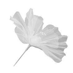 a single white flower is shown on a white background