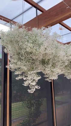 white flowers hanging from the ceiling in front of a glass wall and wooden frame structure