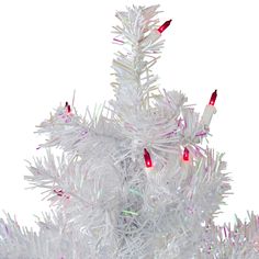 Prelit slim white iridescent pine Christmas tree. Prelit with 50 pink mini lights. Contains 85 branch tips that measures 2 inches wide Small Prelit Pink Christmas Tree, Pink Lights, Pine Christmas Tree, Mini Lights, Artificial Christmas Tree, Pink Mini, Gift Coupons, Merry And Bright, Winter Wonderland