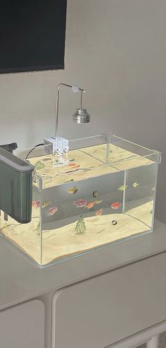 a fish tank sitting on top of a counter