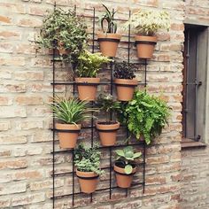 there are many potted plants on the wall