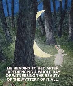 an image of a rabbit in the woods at night with a quote about being able to be after experiencing a whole day of witnessing