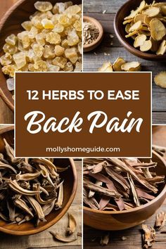 Natural Back Pain Relief Remedies, Herbs For Body Aches, Holistic Pain Relief, Herbs For Back Pain, Natural Muscle Relaxer Back Pain, Herbs For Pain Relief, Herb Remedies