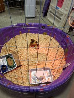 a cage with food inside of it