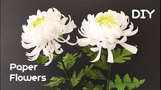 two white flowers are in a vase with green leaves on the bottom and below it