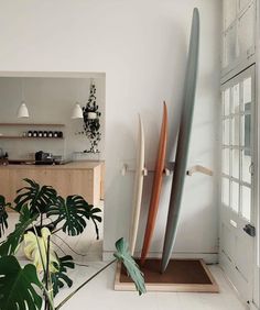 three surfboards leaning against the wall in a room with white walls and flooring