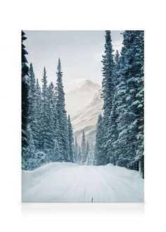 a snow covered road surrounded by pine trees and mountains in the distance with a sky background