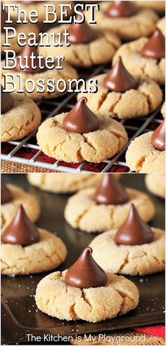 the best peanut butter blossom cookies recipe