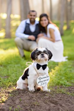 a dog wearing a bow tie sitting next to a man in a tuxedo