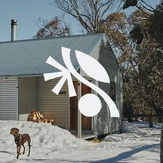 a dog is standing in the snow near a house