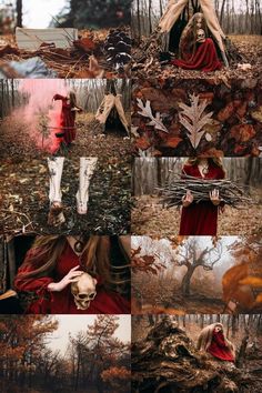 a collage of different images with trees and leaves in the foreground, including an image of a woman wearing a red dress