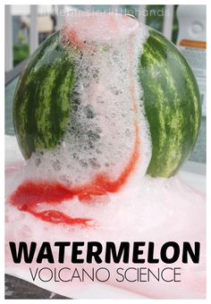 two watermelons sitting on top of each other in the middle of a pile of ice