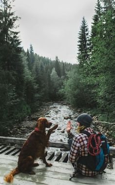 two people and a dog sitting on a bridge over a stream in the woods with trees