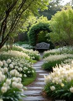 a garden with white flowers and greenery on the ground, along with a bench in the middle