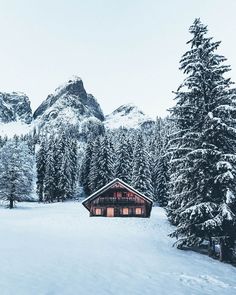 a cabin in the middle of a snow covered field with trees and mountains behind it