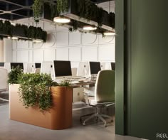 an office cubicle with plants hanging from the ceiling and computer desks on either side