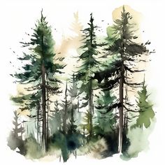 watercolor painting of trees in the woods