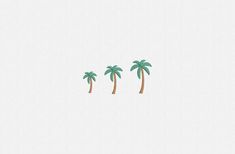 three palm trees in the middle of a plain white background, with one single tree on each side