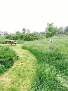 a picnic table in the middle of a grassy field