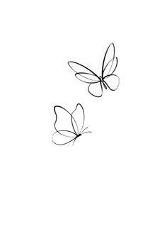 two black and white butterflies flying in the sky