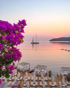 an outdoor dining area overlooking the ocean with boats in the water and purple flowers on the table