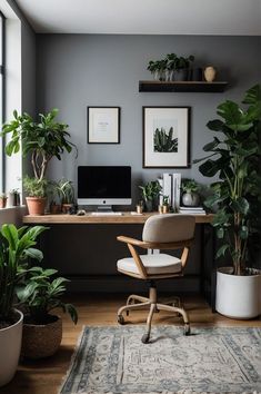 a home office with potted plants on the desk