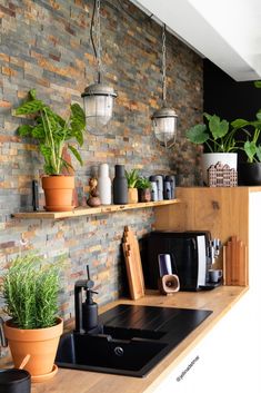 a kitchen with plants on the brick wall above the stove and counter top, along with potted plants