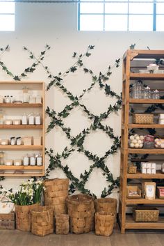 the shelves are covered with plants and jars