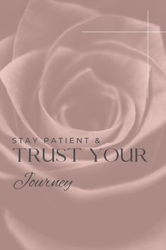 a pink rose with the words stay patient and trust your journey