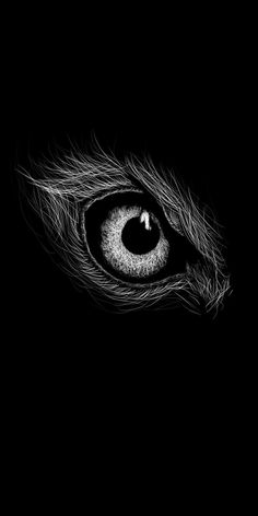 an eye is shown in black and white