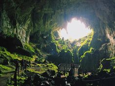 the entrance to a cave with sunlight coming in from it's mouth and green vegetation growing on the ground