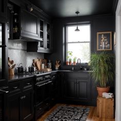 a kitchen with black cabinets and wooden floors, potted plants on the counter top