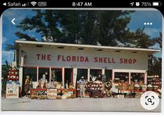 the florida shell shop has many items for sale