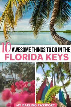 the top 10 things to do in florida keys