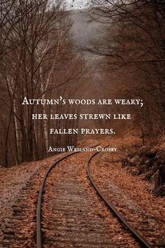 a train track with the words autumn's woods are weary, her leaves stream like fallen prayer