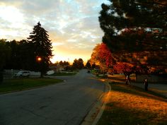 two people walking down the street at sunset with trees in the foreground and cars parked on the side of the road