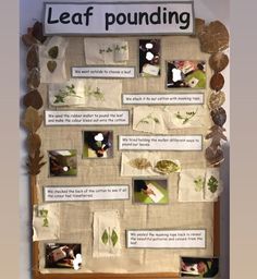 a bulletin board with pictures and words on it that say leaf poundings are important to the environment