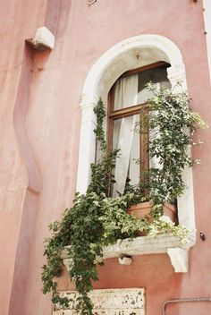 an open window with plants growing out of it